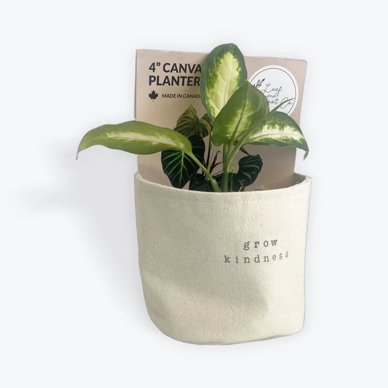 4" GROW KINDNESS