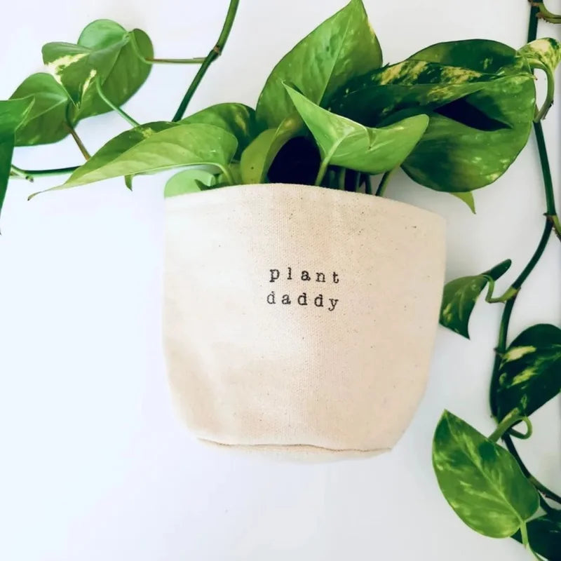 4" PLANT DADDY