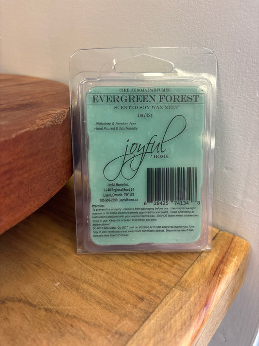 Evergreen Forest Soy Wax Melt