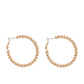 03143891 Merx Hoop Earrings - Gold