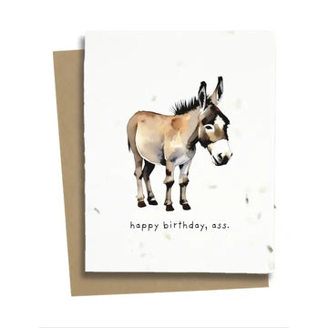 Funny Donkey Birthday Card