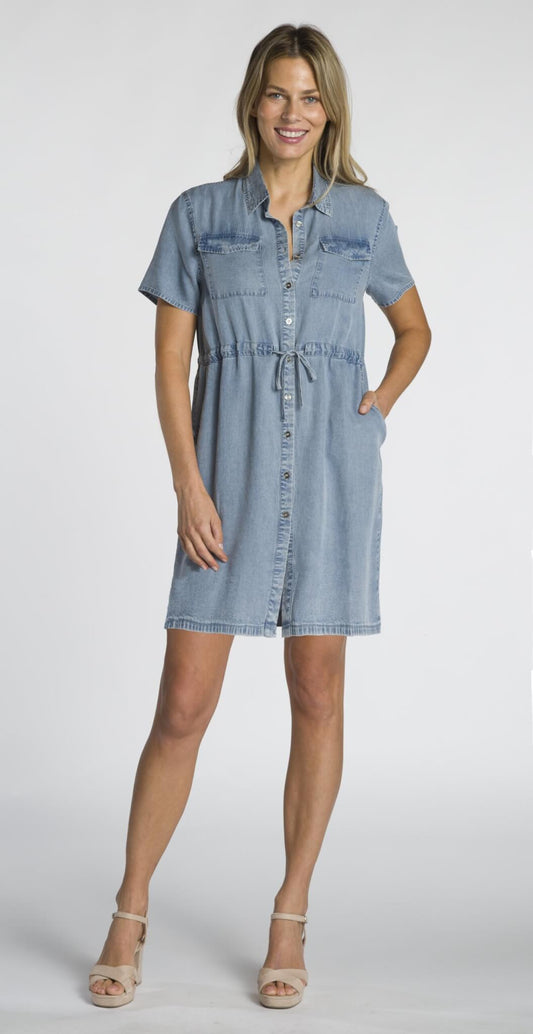 The Anna Denim Dress