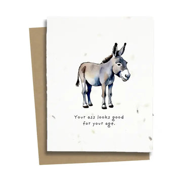 Adult Donkey Birthday Card